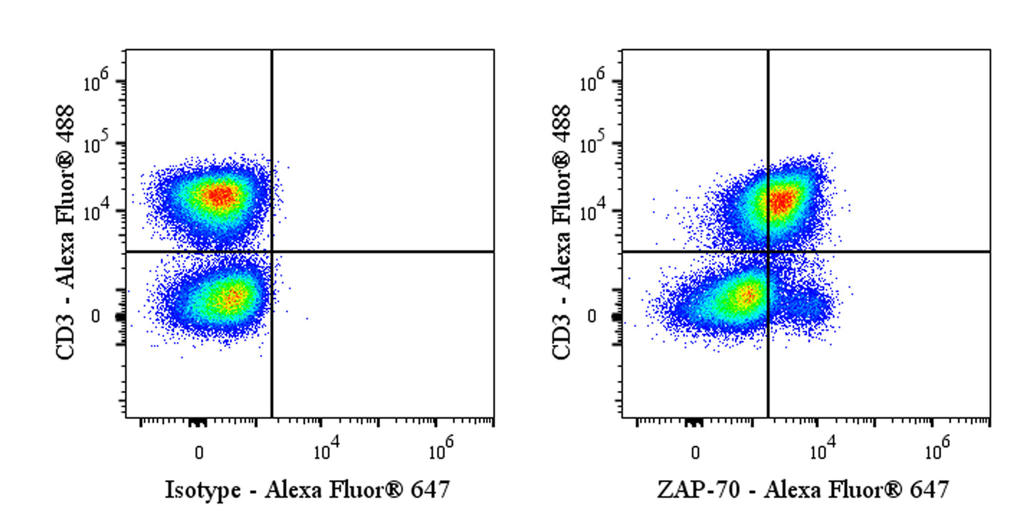 Alexa Fluor® 647 Mouse Anti-Human/Mouse ZAP-70 Antibody (1E7.2)