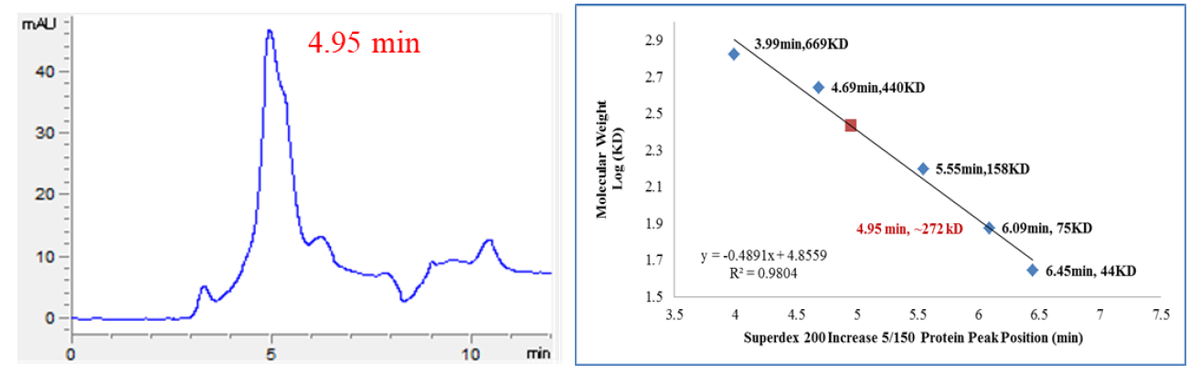 FGR GST Tag Protein, Human