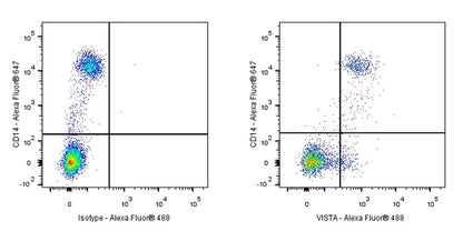 VISTA Recombinant Rabbit mAb (S-1469-72)