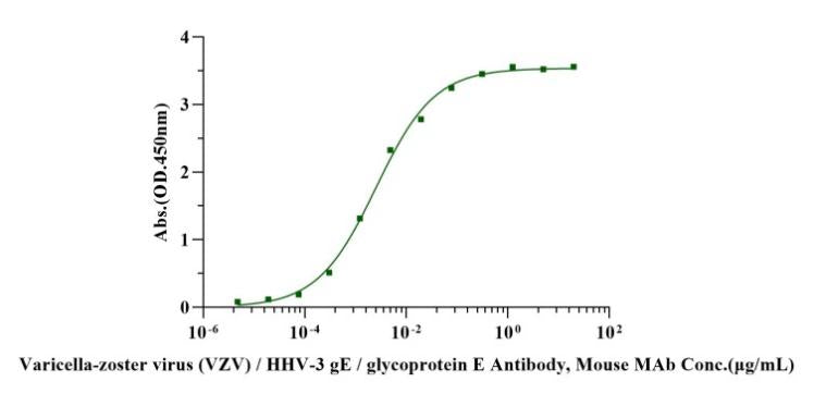 VZVgE His Tag Protein