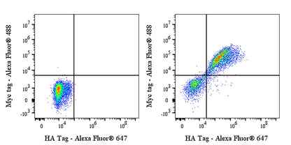 HA Tag Recombinant Rabbit mAb (Alexa Fluor® 647 Conjugate) (S-4144)