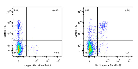 NK1.1/CD161 Recombinant Rabbit mAb (S-428-32)