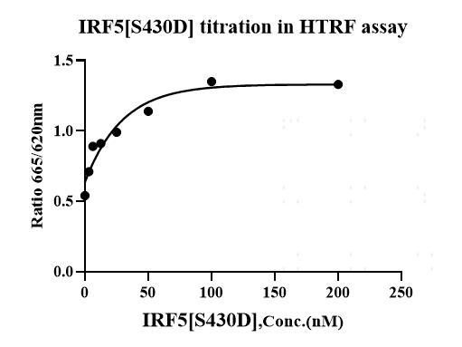IRF5[S430D] Flag Tag Protein, Human
