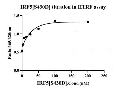 IRF5[S430D] Flag Tag Protein, Human