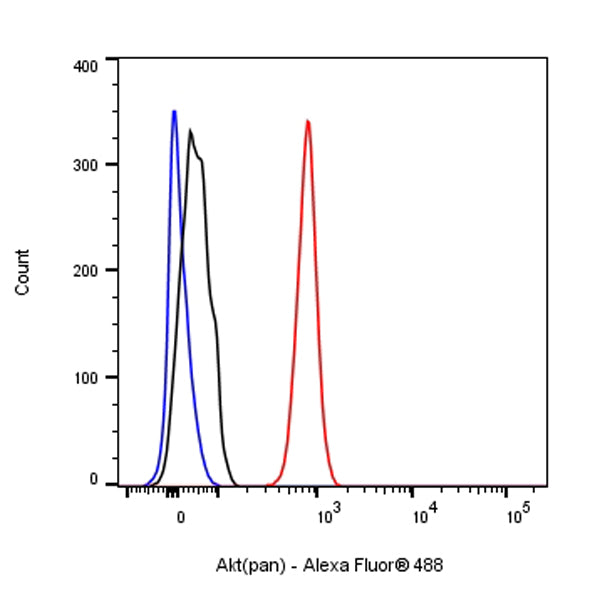 Akt (pan) Recombinant Rabbit mAb (S-652-20)
