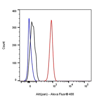 Akt (pan) Recombinant Rabbit mAb (S-652-20)