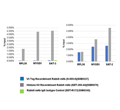 V5 Tag Recombinant Rabbit mAb (S-609-13)