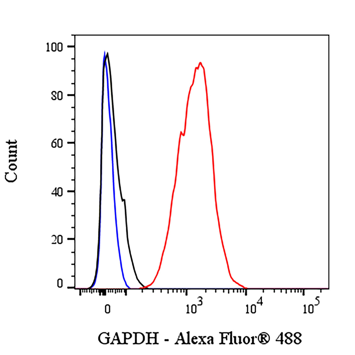 GAPDH Recombinant Mouse mAb (Alexa Fluor® 488 Conjugate) (S-4721)