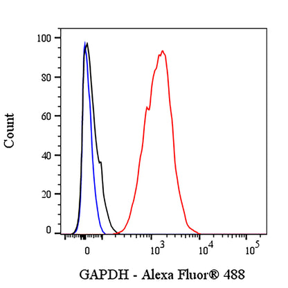 GAPDH Recombinant Mouse mAb (Alexa Fluor® 488 Conjugate) (S-4721)