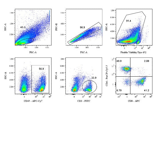 Mouse T Cell Panel kit