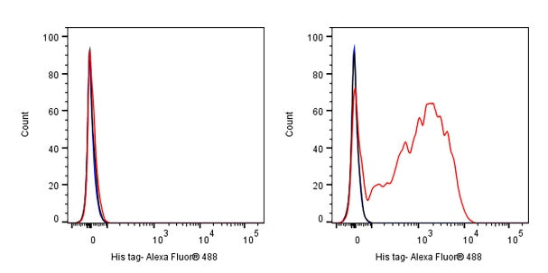 His tag Recombinant Rabbit mAb (Alexa Fluor® 488 Conjugate) (S-1398-151)