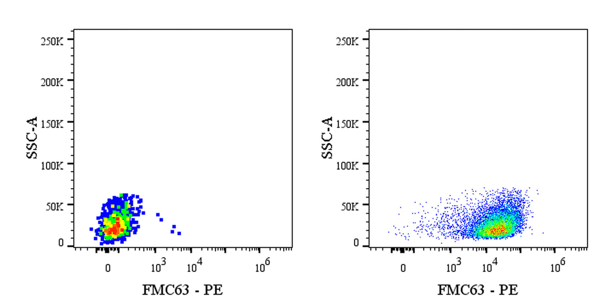 FMC63 Recombinant Rabbit mAb (PE Conjugate) (S-2163-30)