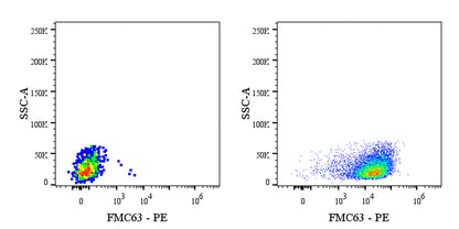 FMC63 Recombinant Rabbit mAb (PE Conjugate) (S-2163-30)