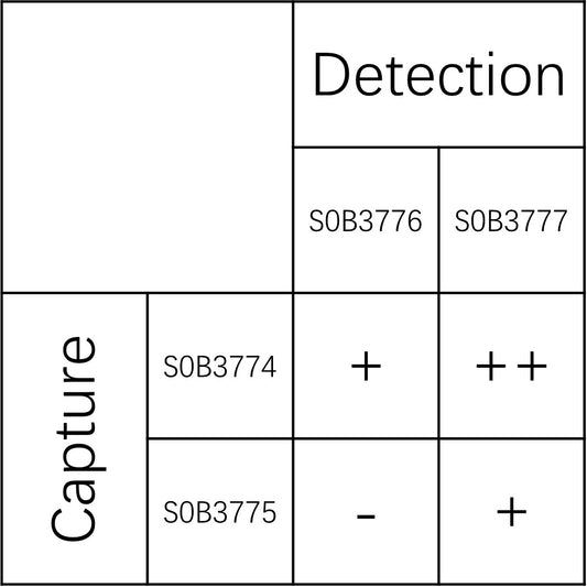 GAP43 Recombinant Rabbit mAb (SDT-3733-13)