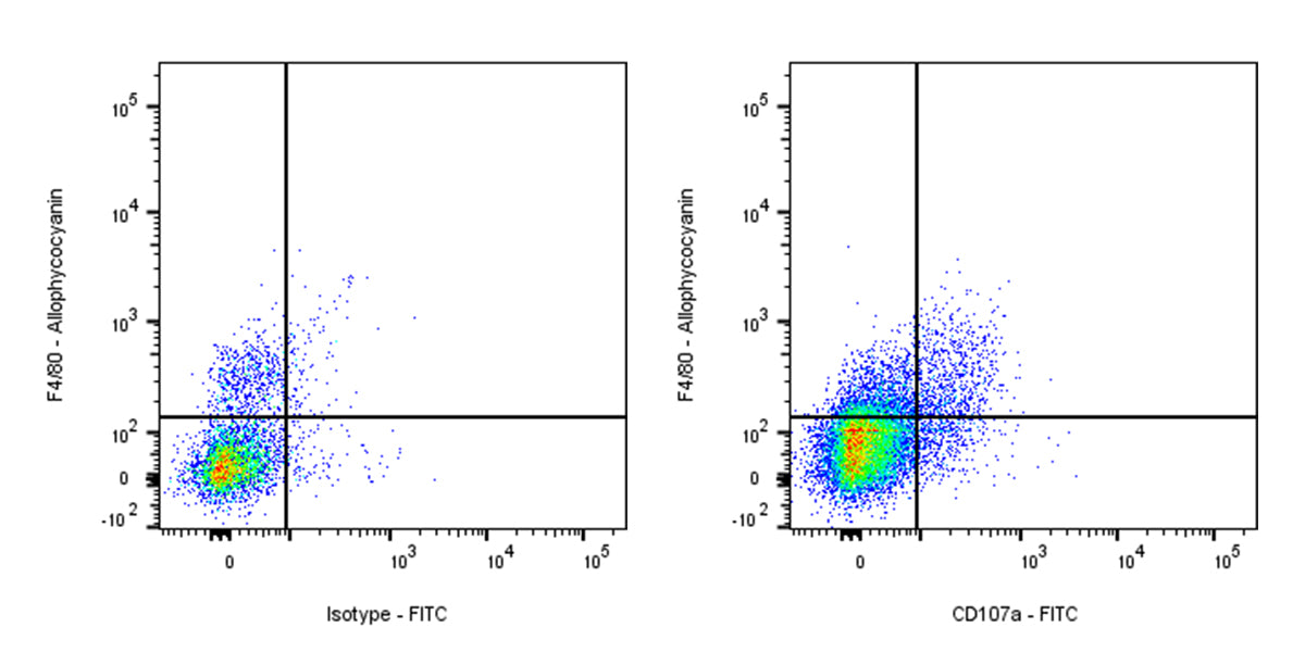 FITC Rat Anti-Mouse CD107a Antibody (S-R668)