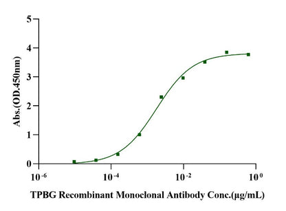 TPBG/5T4 Fc Chimera Protein, Human