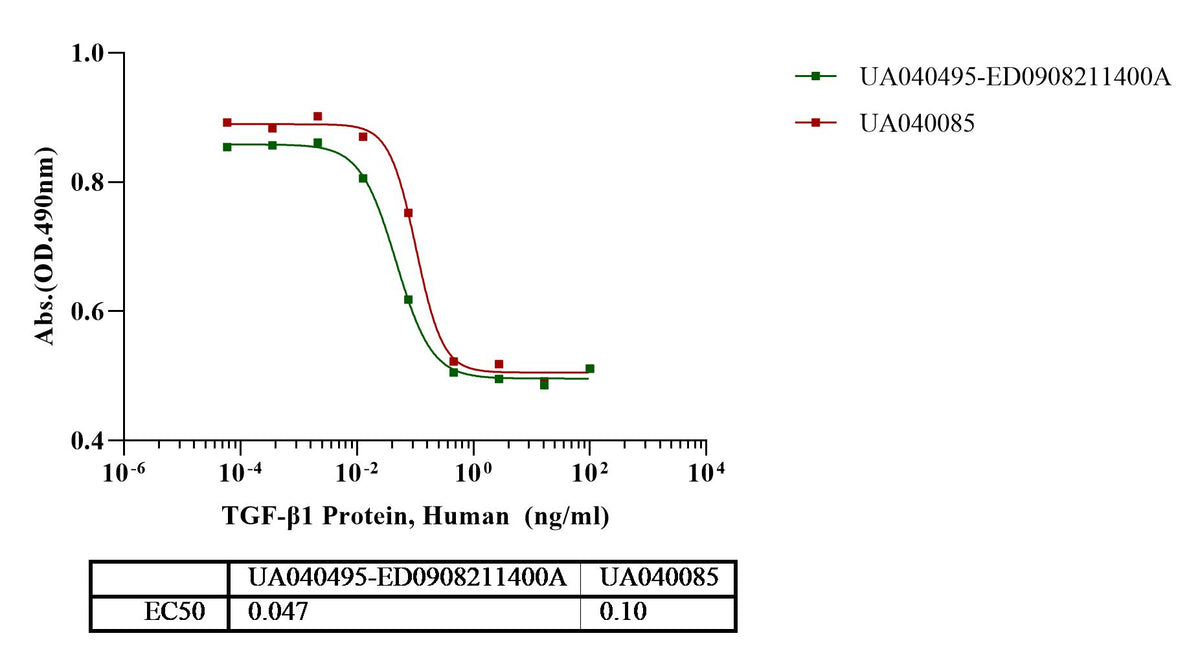 TGF-β1 Protein, Human