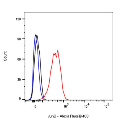 JunB Recombinant Rabbit mAb (S-670-242)