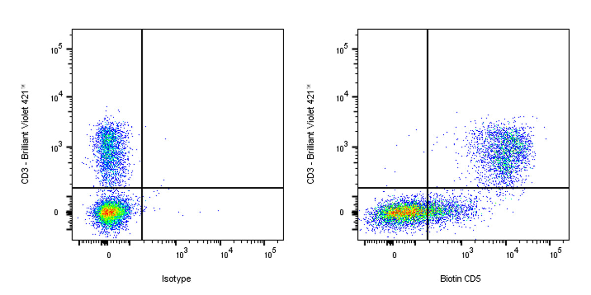 Biotin Rat Anti-Mouse CD5 Antibody (53-7.3)