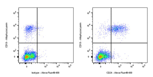 Alexa Fluor® 488 Rabbit Anti-Human CD24 Antibody (S-974-13)