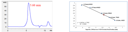 USP8 Protein