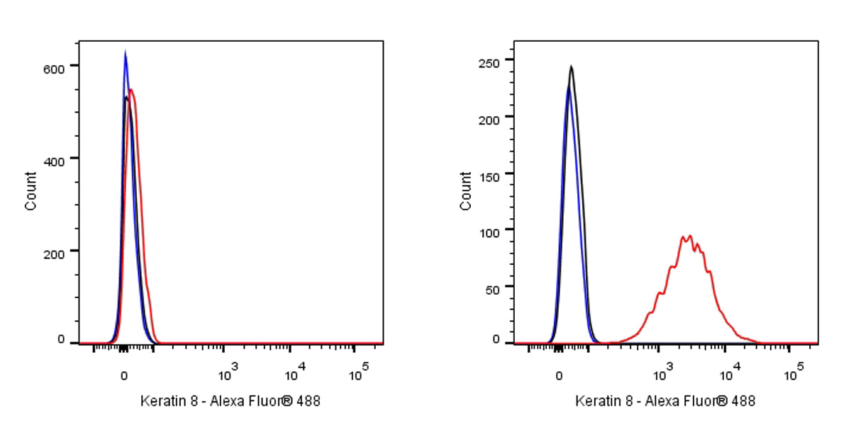 Keratin 8 Recombinant Rabbit mAb,PBS Only (SDT-016-46)
