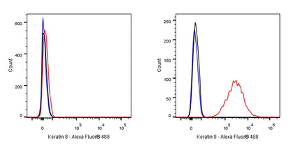 Keratin 8 Recombinant Rabbit mAb,PBS Only (SDT-016-46)