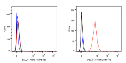 S-RMab®SALL4 Recombinant Rabbit mAb (SDT-R232)