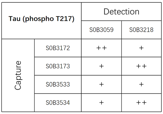 Tau (phospho T217) Recombinant Rabbit mAb (SDT-R205-TT217-4)