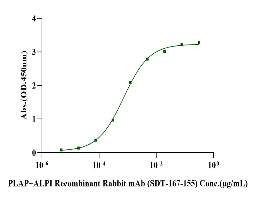 ALPP His Tag Protein, Human