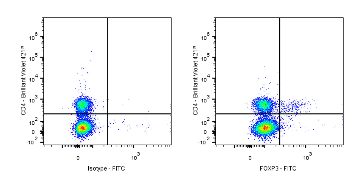 FITC Mouse Anti-Human FOXP3 Antibody (S-2903)