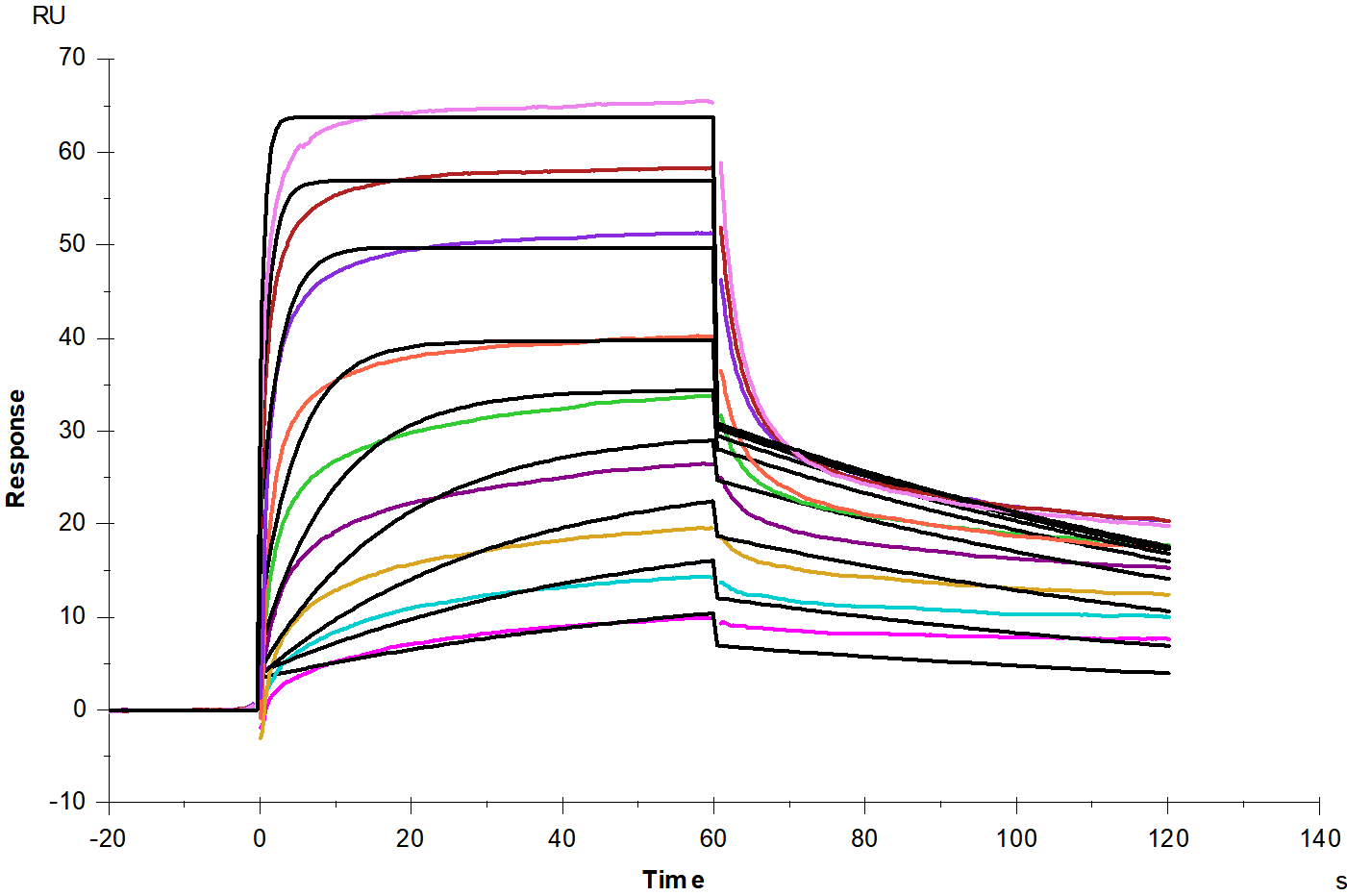 FcGRT&B2M Heterodimer His Tag Protein, Human