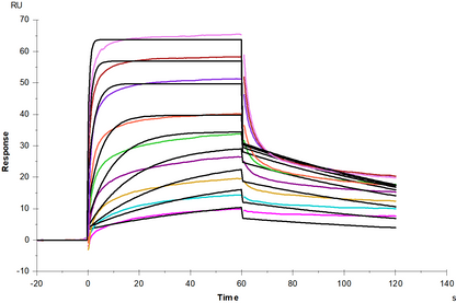 FcGRT&B2M Heterodimer His Tag Protein, Human