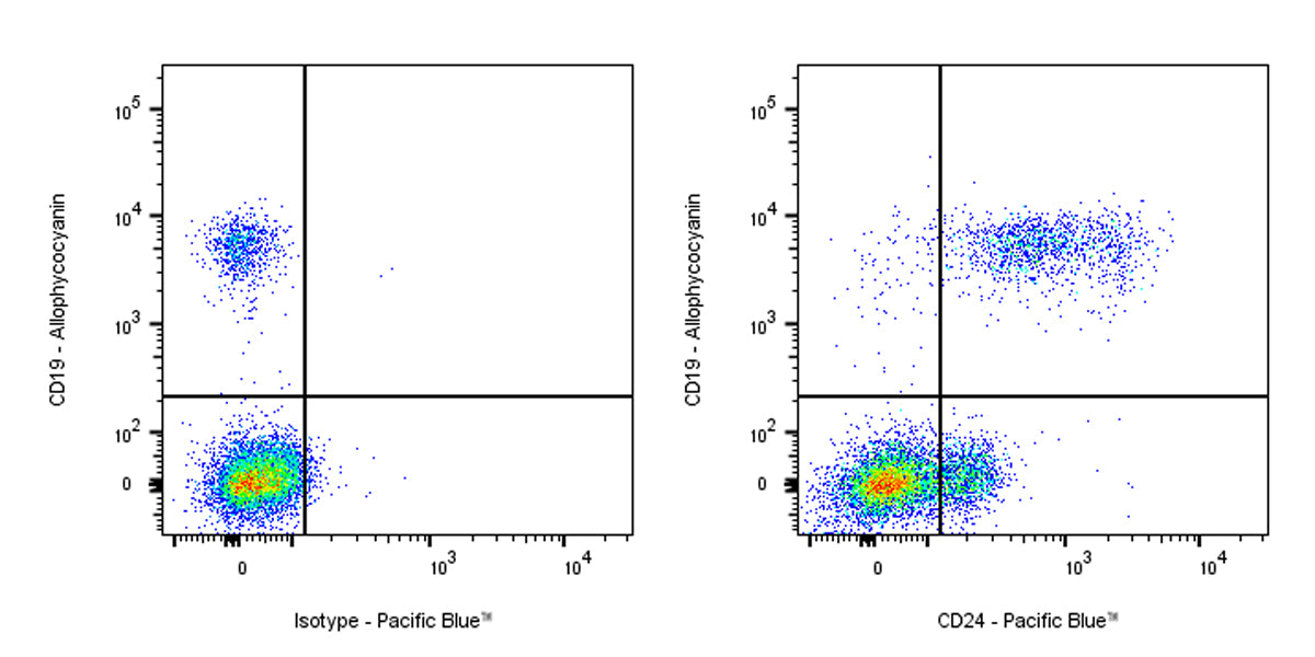 Pacific Blue Rabbit Anti-Human CD24 Antibody (S-974-13)