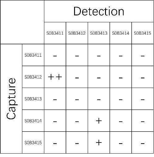 Ferritin Recombinant Rabbit mAb (SDT-1947-85)