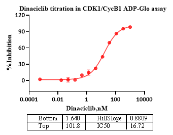 CDK1/CycB1 Protein