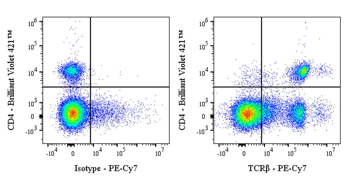 PE-Cy7 Armenian hamster Anti-Mouse TCR β Antibody (H57-597)