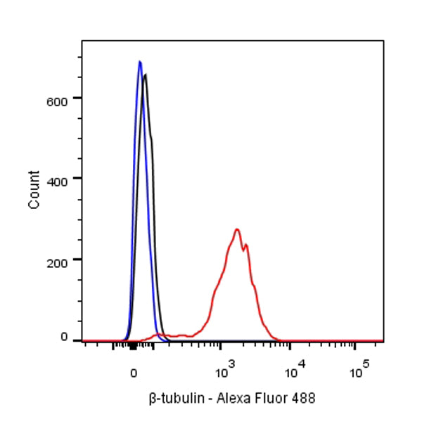 β-tubulin Recombinant Rabbit mAb (SDT-R014)