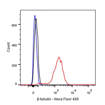 β-tubulin Recombinant Rabbit mAb (SDT-R014)