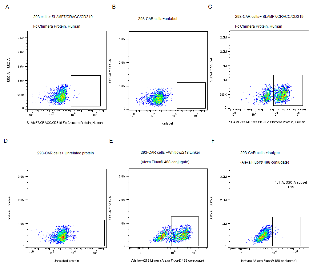 SLAMF7/CRACC/CD319 Fc Chimera Protein, Human