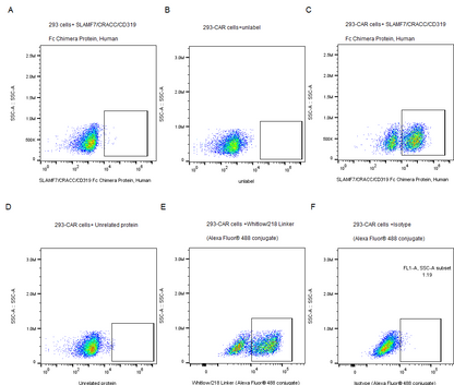 SLAMF7/CRACC/CD319 Fc Chimera Protein, Human