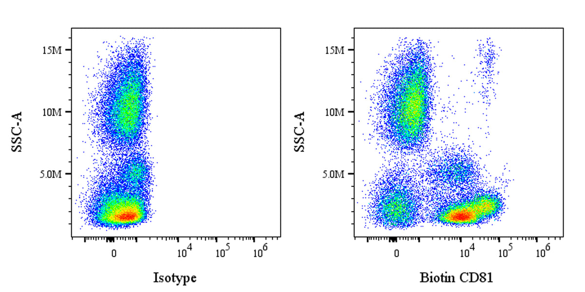 Biotin Mouse Anti-Human CD81 Antibody (5A6)