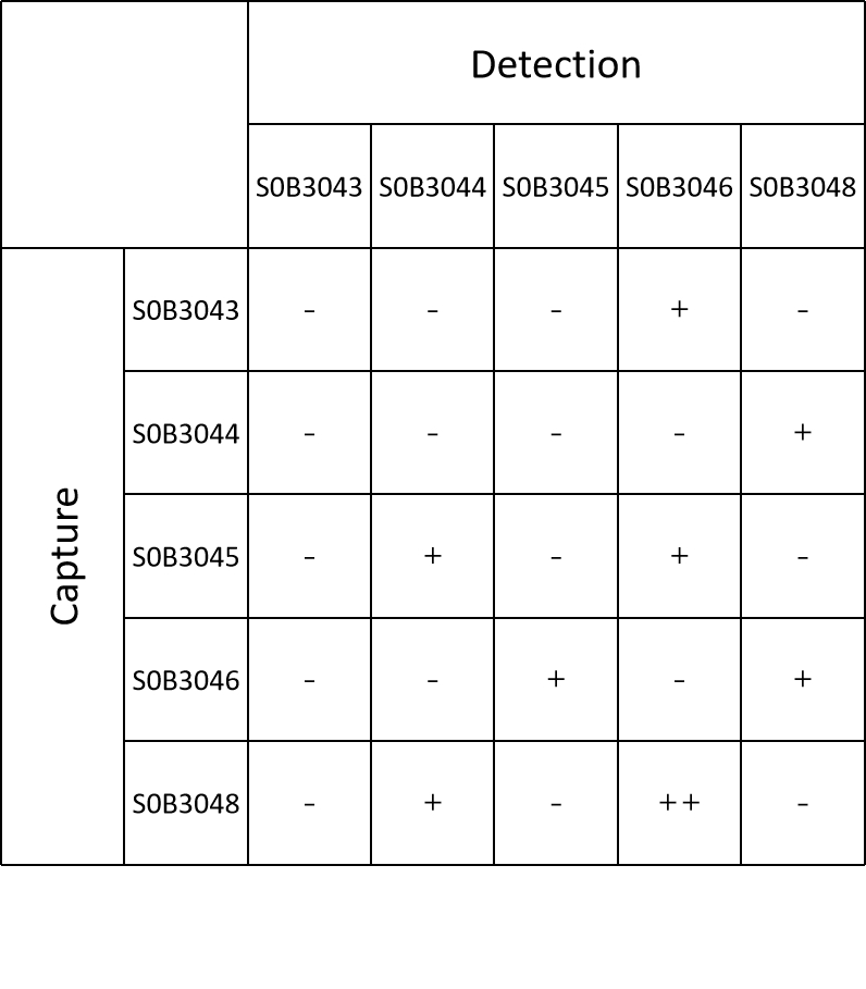 IGFBP3 Recombinant Rabbit  mAb (SDT-086-95)