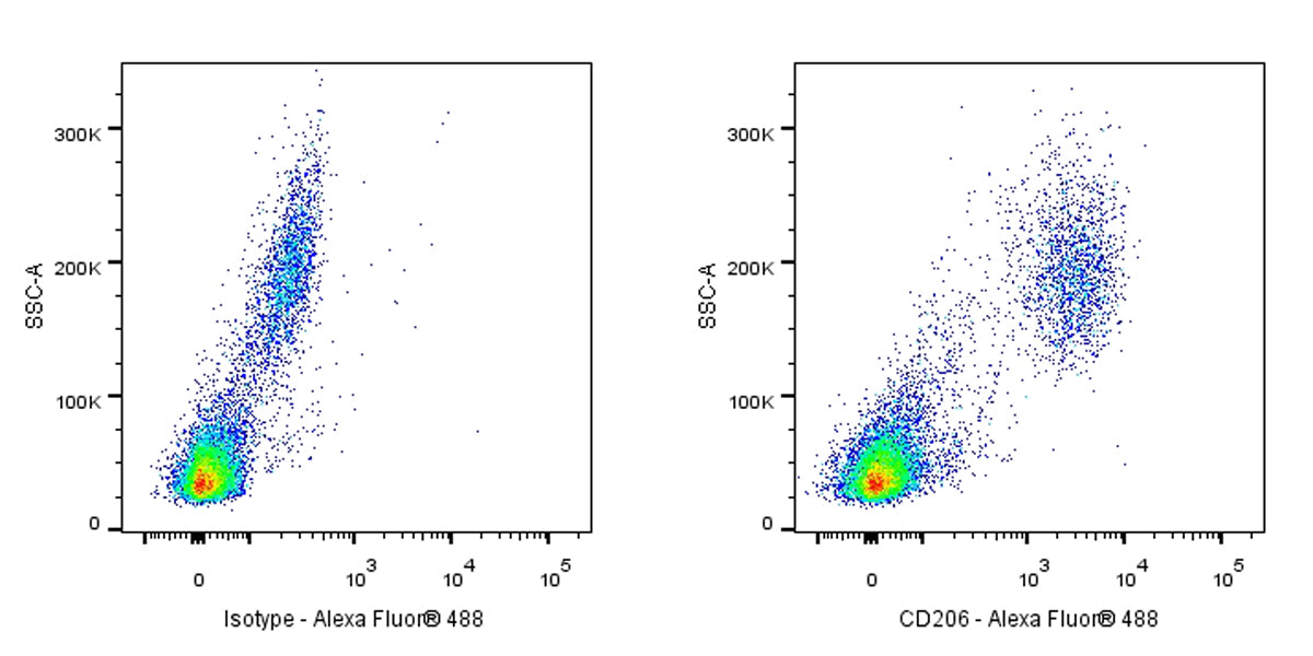 Mouse Anti-Human CD206 Antibody (15-2)