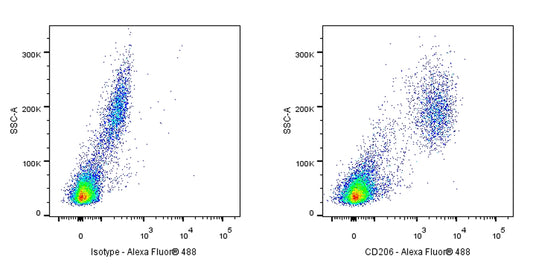 Mouse Anti-Human CD206 Antibody (15-2)