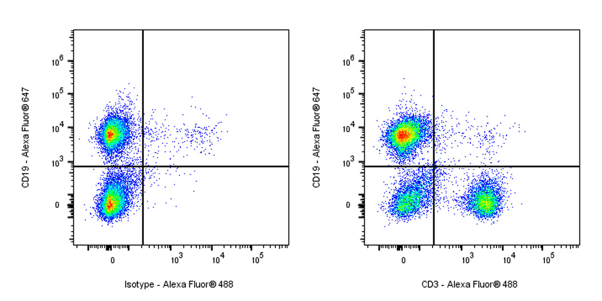 Alexa Fluor® 488 Armenian hamster Anti-Mouse CD3 Antibody (S-R491)