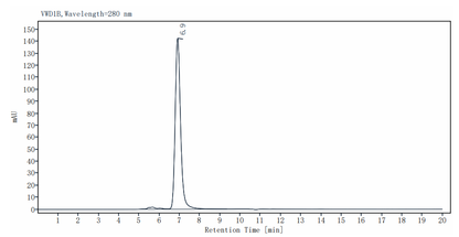 E-Selectin/CD62E His Tag Protein, Mouse