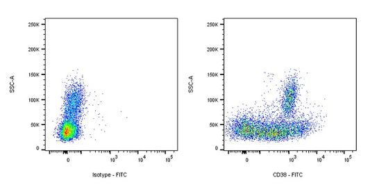 FITC Mouse Anti-Human CD38 Antibody (HB7)
