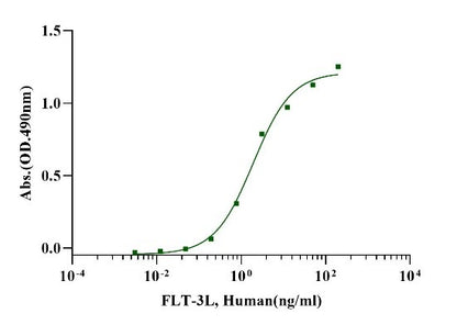 FLT-3L Protein, Human