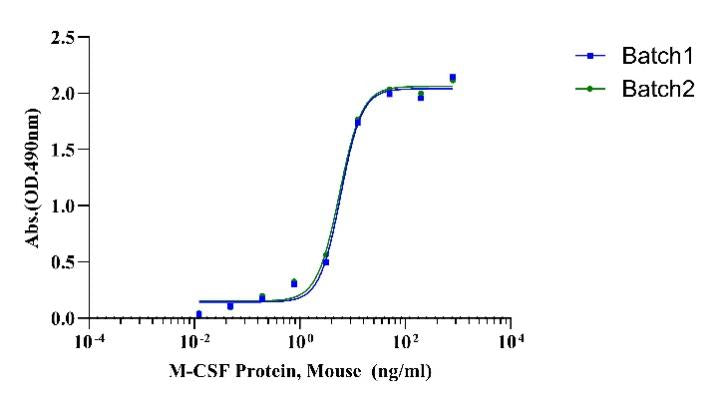 M-CSF Protein, Mouse